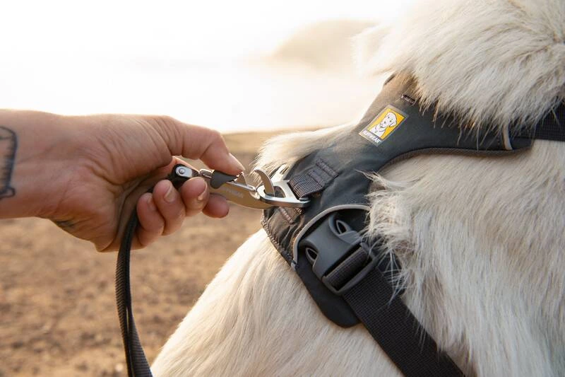 Повсякденна шлейка для собак Ruffwear Front Range® XXS 33-43 см Сірий