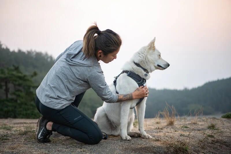 Повсякденна шлейка для собак Ruffwear Front Range® XXS 33-43 см Сірий