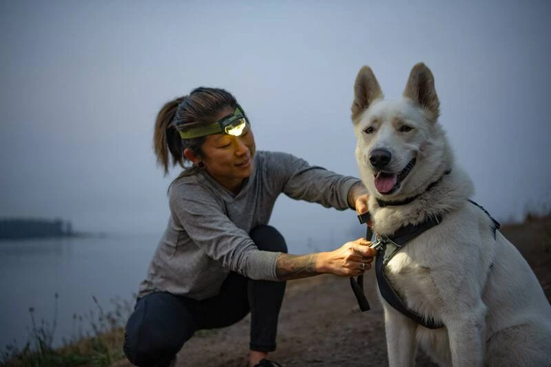 Повсякденна шлейка для собак Ruffwear Front Range® XXS 33-43 см Сірий