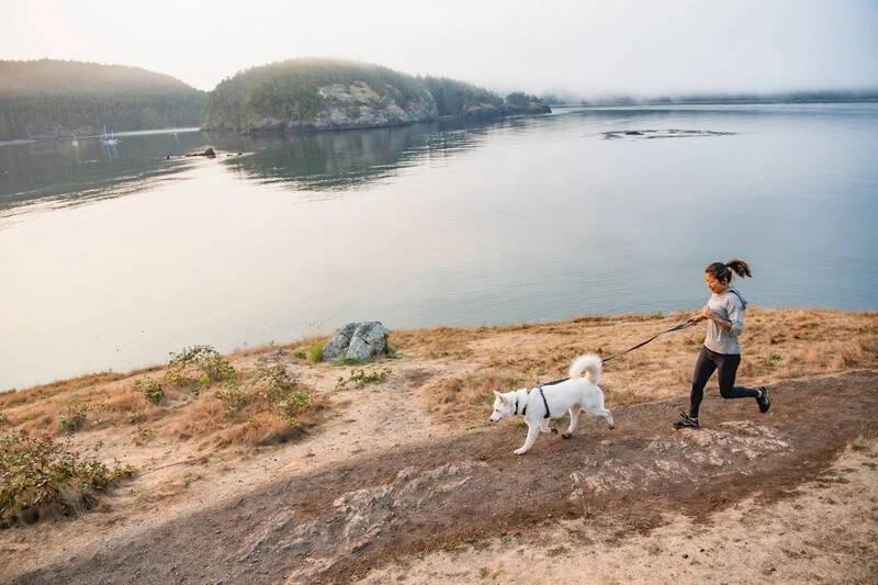 Повсякденна шлейка для собак Ruffwear Front Range® XXS 33-43 см Сірий
