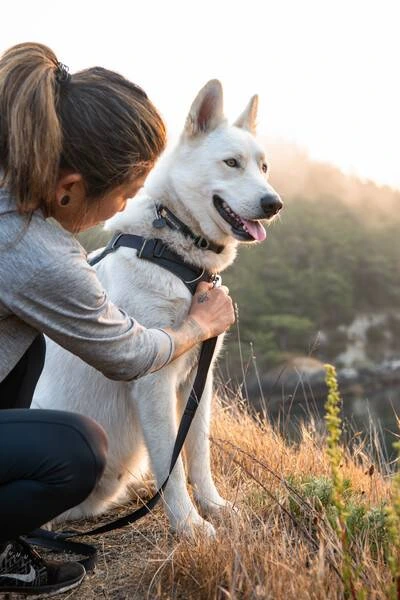 Повсякденна шлейка для собак Ruffwear Front Range® XXS 33-43 см Сірий