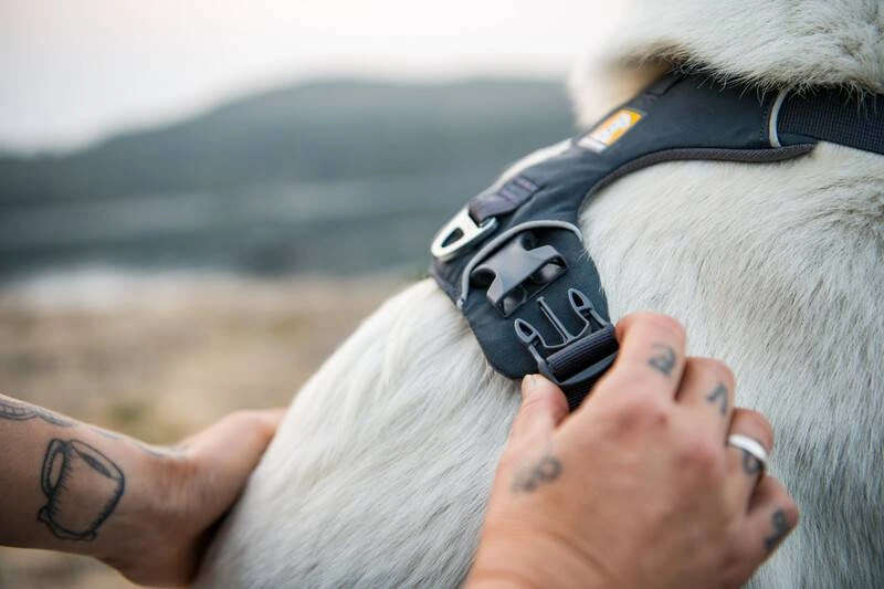 Повсякденна шлейка для собак Ruffwear Front Range® XS 43-56 см Сірий