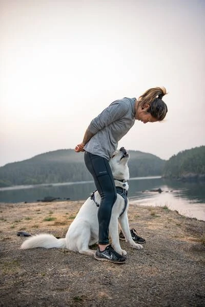 Повсякденна шлейка для собак Ruffwear Front Range® XS 43-56 см Сірий