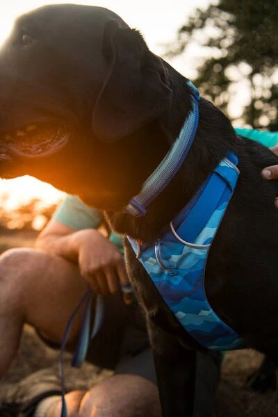 Повсякденна шлейка для собак Ruffwear Front Range XXS 33-43 см Синьо-блакитний