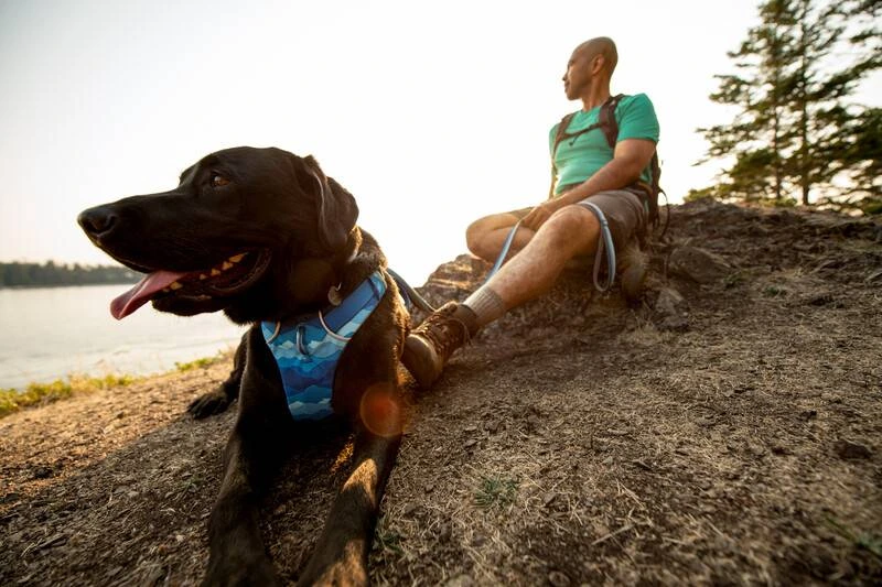 Повсякденна шлейка для собак Ruffwear Front Range XXS 33-43 см Синьо-блакитний