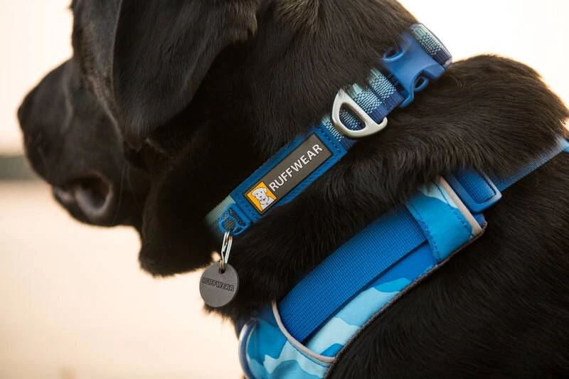 Повсякденна шлейка для собак Ruffwear Front Range® L/XL 81-107 см Синьо-блакитний