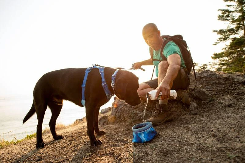 Повсякденна шлейка для собак Ruffwear Front Range® L/XL 81-107 см Синьо-блакитний