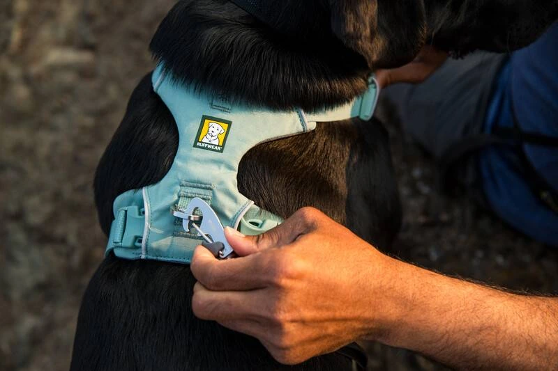 Повсякденна шлейка для собак Ruffwear Front Range® XXS 33-43 см Зелений
