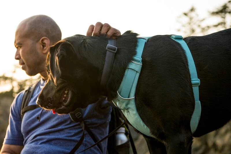 Повсякденна шлейка для собак Ruffwear Front Range® XXS 33-43 см Зелений