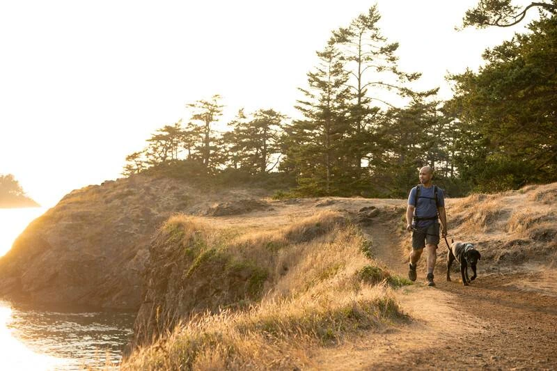 Повсякденна шлейка для собак Ruffwear Front Range® XXS 33-43 см Зелений
