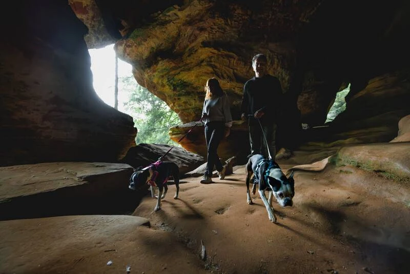 Полегшена шлейка для собак Ruffwear Hi & Light™ M 69-81 см Сірий