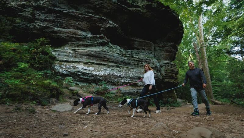 Полегшена шлейка для собак Ruffwear Hi & Light™ M 69-81 см Сірий
