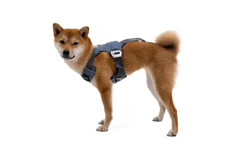 Автошлейка для собак Ruffwear Load Up™ M 69-81 см Синій