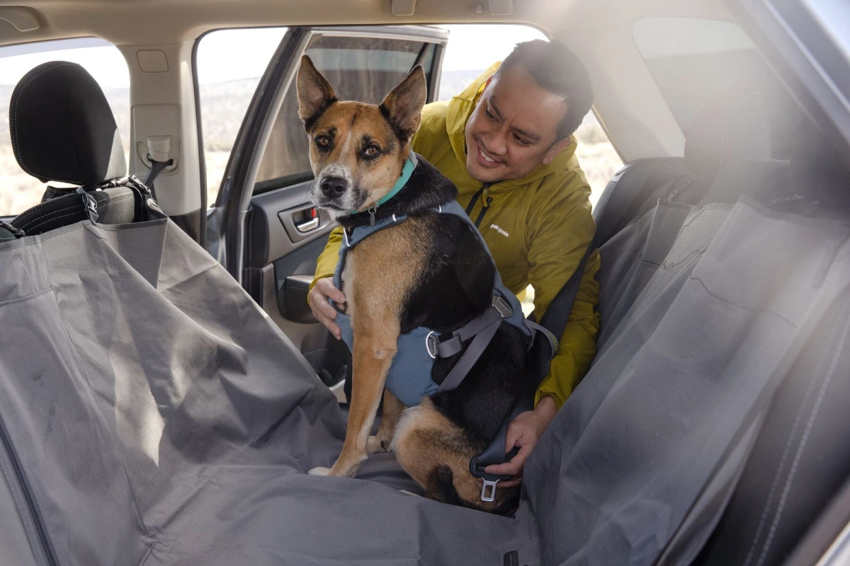 Автошлейка для собак Ruffwear Load Up™ L/XL 81-107 см Синій