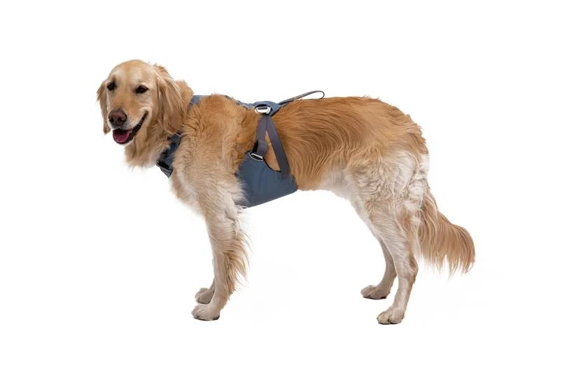 Автошлейка для собак Ruffwear Load Up™ L/XL 81-107 см Синій