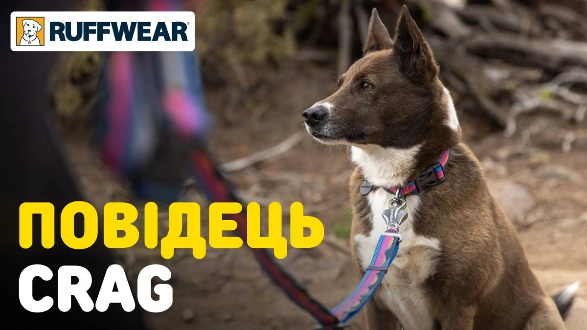 Рефлекторний повідець для собак Ruffwear Crag™ Рожево-синій
