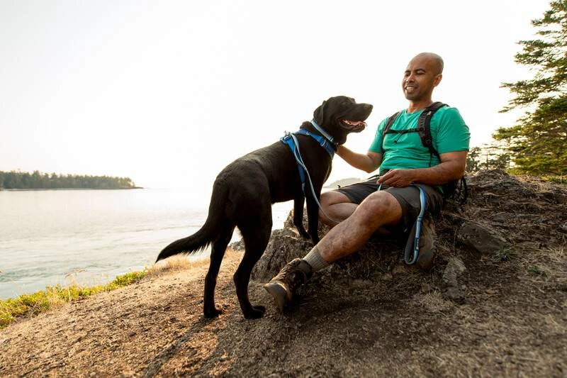 Повсякденний повідець для собак Ruffwear Front Range™ Блакитно-синій