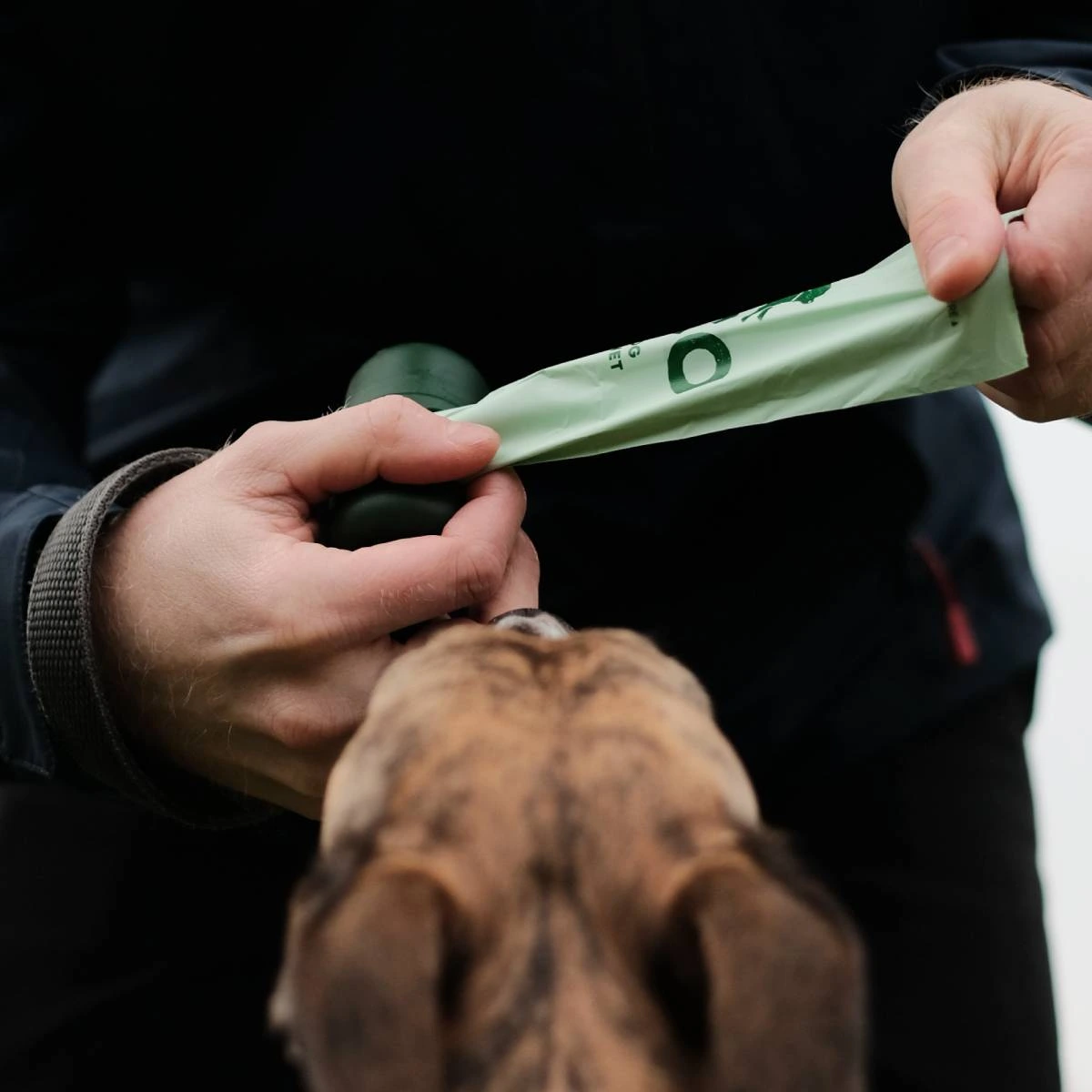 Одноразові пакетики для прибирання за собаками Beco Pets з ароматом м'яти 120 шт (8 рулонів по 15 шт)