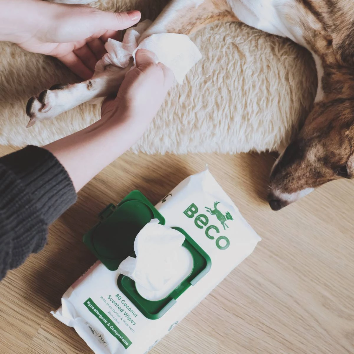 Вологі серветки біорозкладні бамбукові Beco Pets з ароматом кокосу 80 шт.