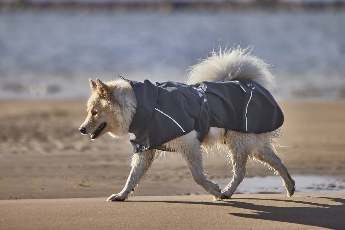 Дощовик для собак Hurtta Mudventure Coat ECO 65 Сірий