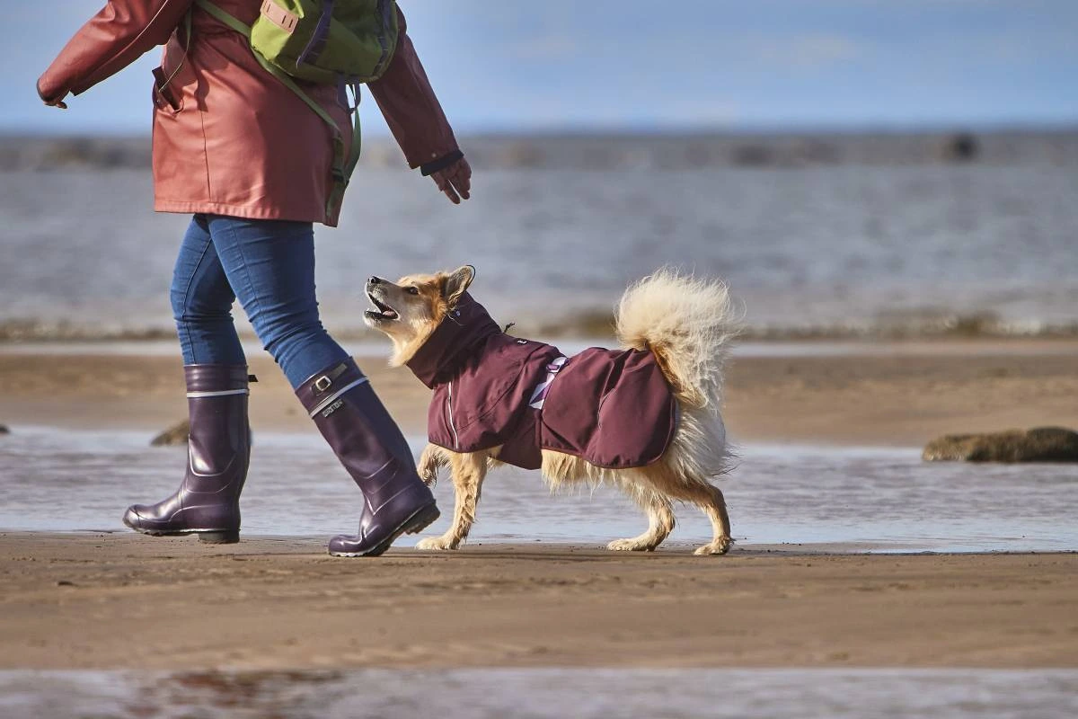 Дощовик для собак Hurtta Mudventure Coat ECO 65 Фіолетовий