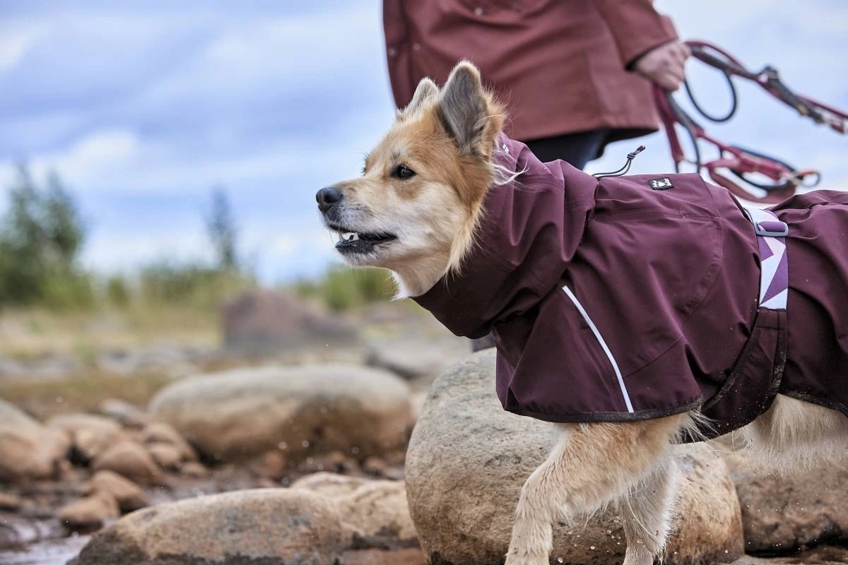 Дощовик для собак Hurtta Mudventure Coat ECO 65 Фіолетовий