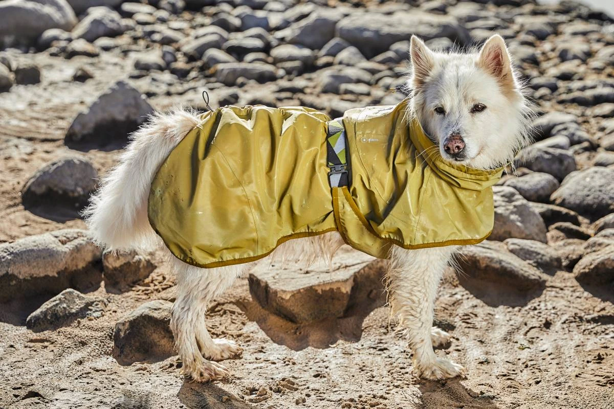 Рефлекторний дощовик для собак Hurtta Mudventure Reflective Coat 25 Жовтий