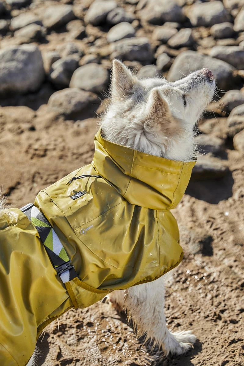 Рефлекторний дощовик для собак Hurtta Mudventure Reflective Coat 65 Жовтий