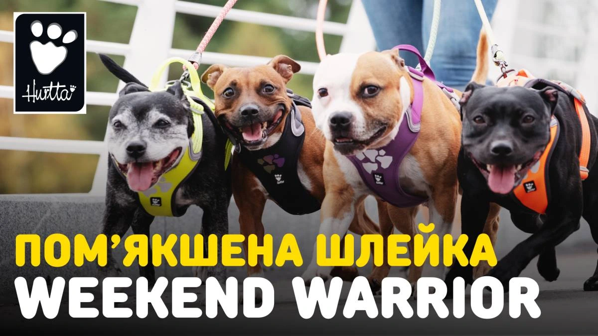 Шлейка для собак пом'якшена Hurtta Weekend Warrior 100-120 см Бежевий
