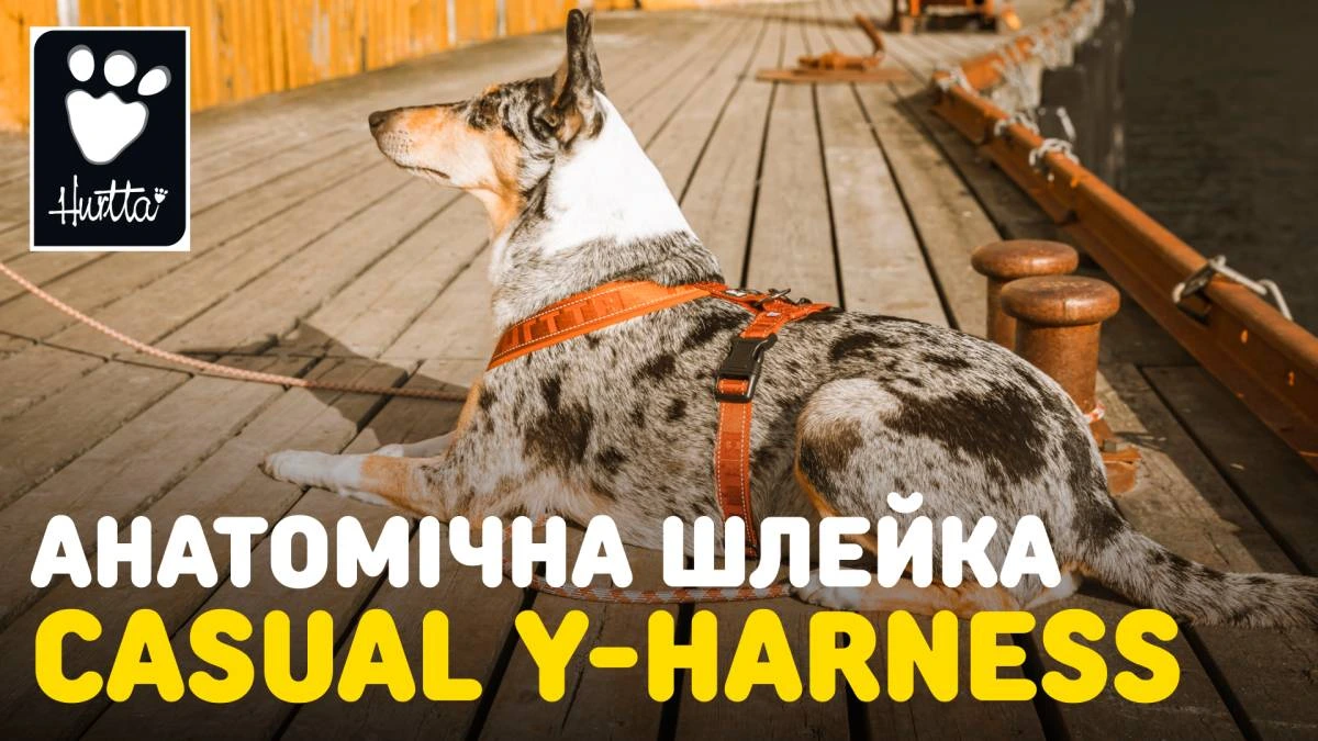 Анатомічна шлейка для собак Hurtta Casual Y-harness 80-90 Чорний