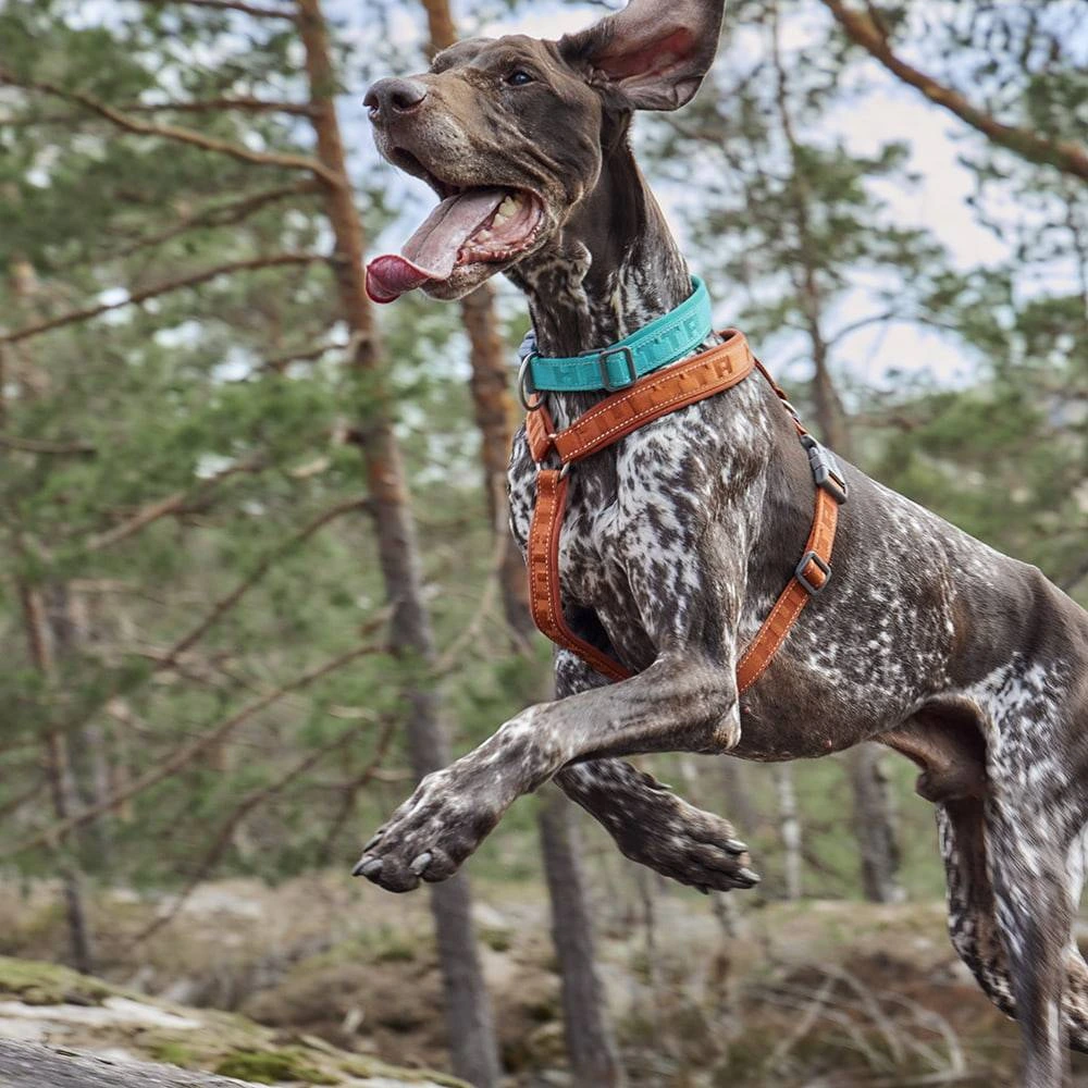 Анатомічна шлейка для собак Hurtta Casual Y-harness 70-80 Коричневий