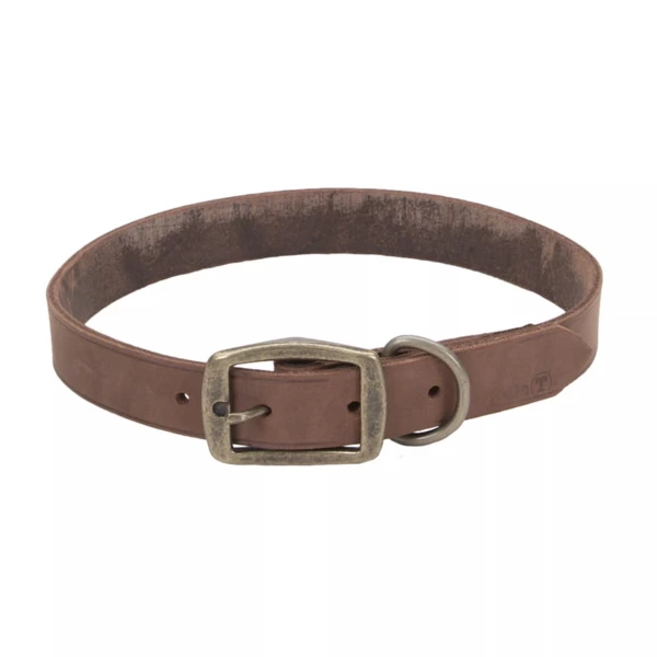 Нашийник для собак Coastal Rustic, Шоколадний, 2.5х60см