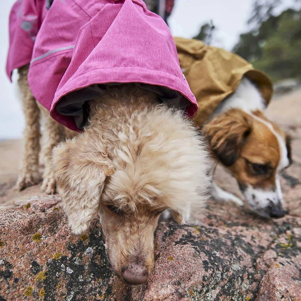 Дощовик для собак Hurtta Monsoon coat II ECO Рожевий 55