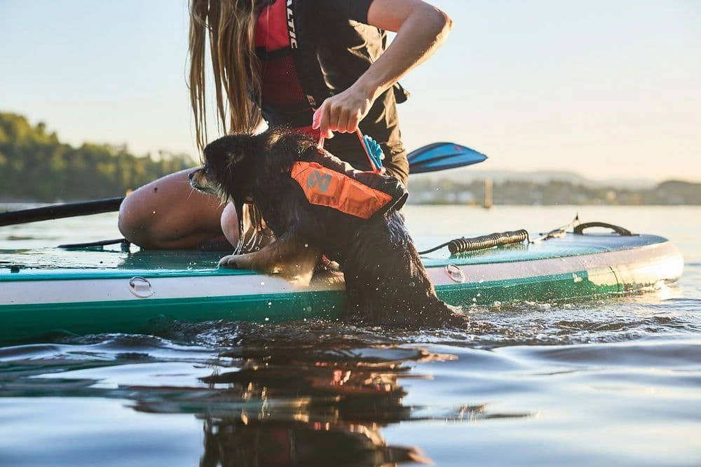 Рятувальний жилет для собак Protector life jacket Non-stop dogwear Чорний/Помаранчевий 7