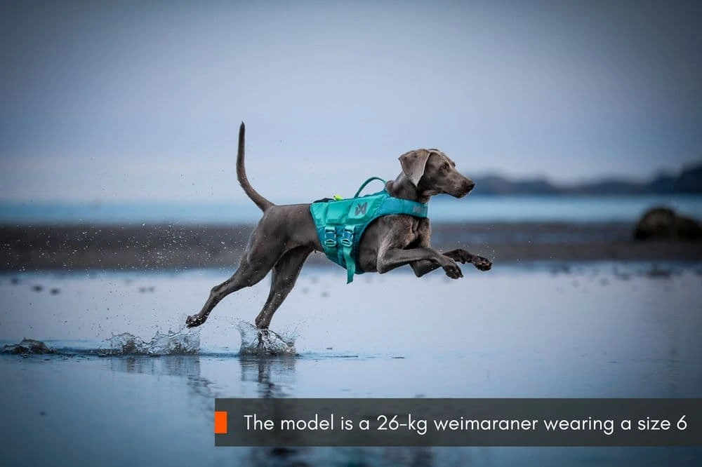 Рятувальний жилет для собак Protector life jacket Non-stop dogwear Бірюзовий 7