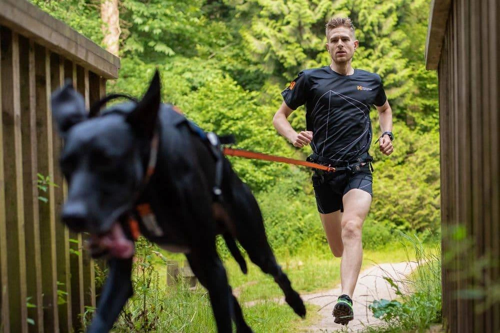 Повідець для собак Bungee leash Non-stop dogwear Чорний/Помаранчевий 2 м/23 мм