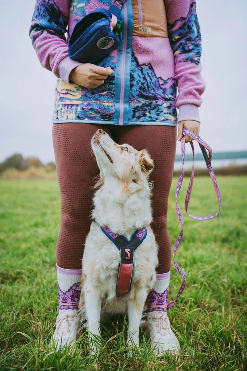 Повідець для собак Trail quest leash RP signature edition Non-stop dogwear Фіолетовий/Рожевий 15 мм/2 м