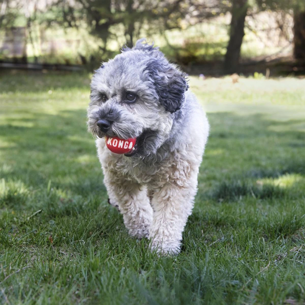 Іграшка для собак Kong Signature Sport Balls 2 шт. L