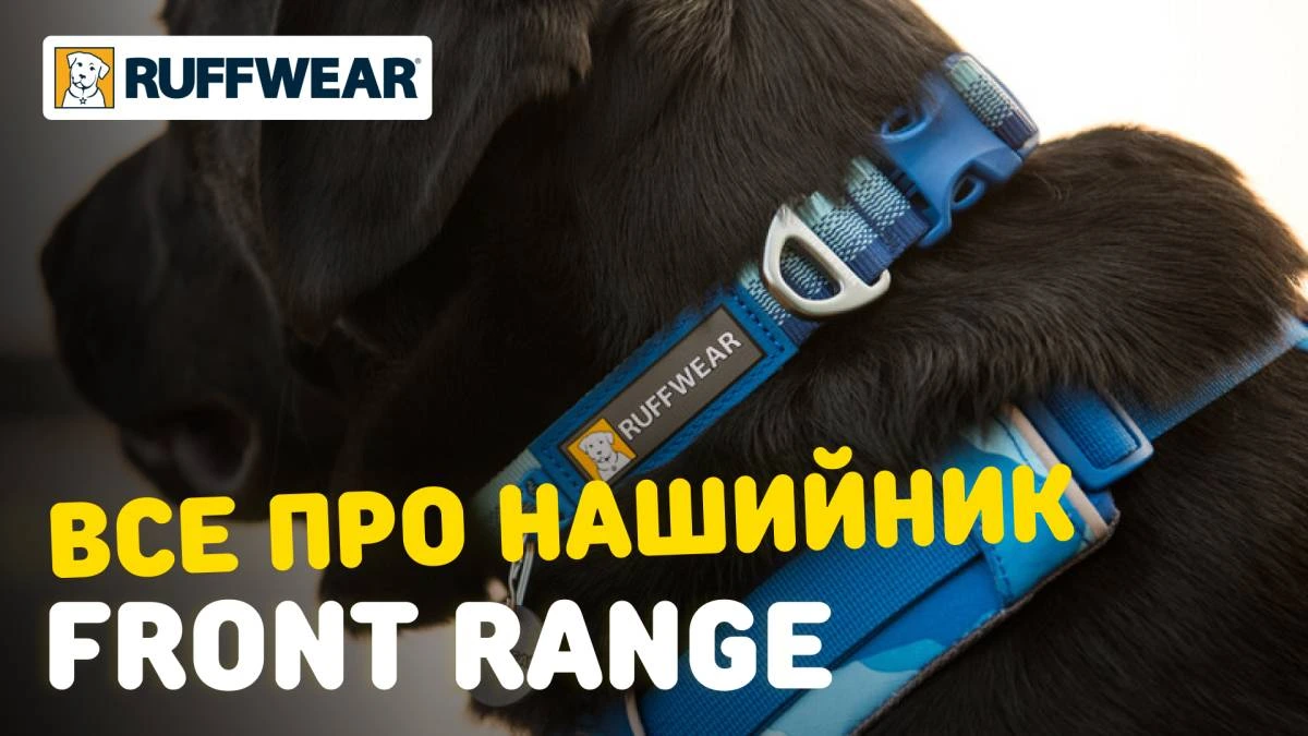 Повсякденний нашийник для собак Ruffwear Front Range™ 36-51 см Рожевий з фіолетовим