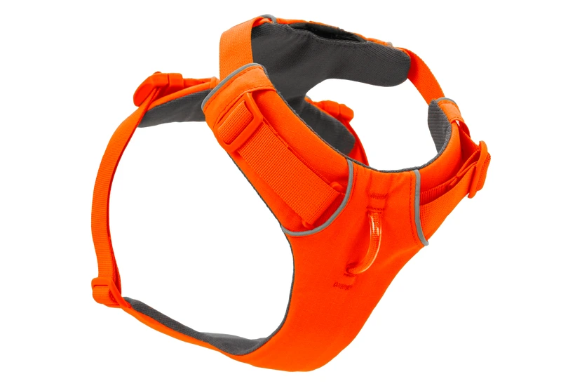 Повсякденна шлейка для собак Ruffwear Front Range XXS 33-43 см Помаранчевий