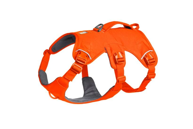 Підтримуюча шлейка для службових собак Ruffwear Web Master XXS 33-43 см Яскраво-Помаранчевий