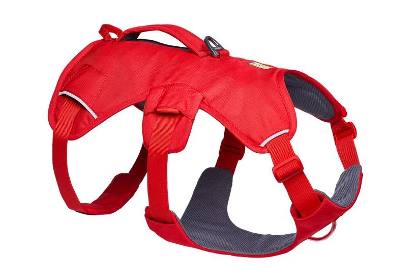 Підтримуюча шлейка для службових собак Ruffwear Web Master XXS 33-43 см Яскраво-червоний