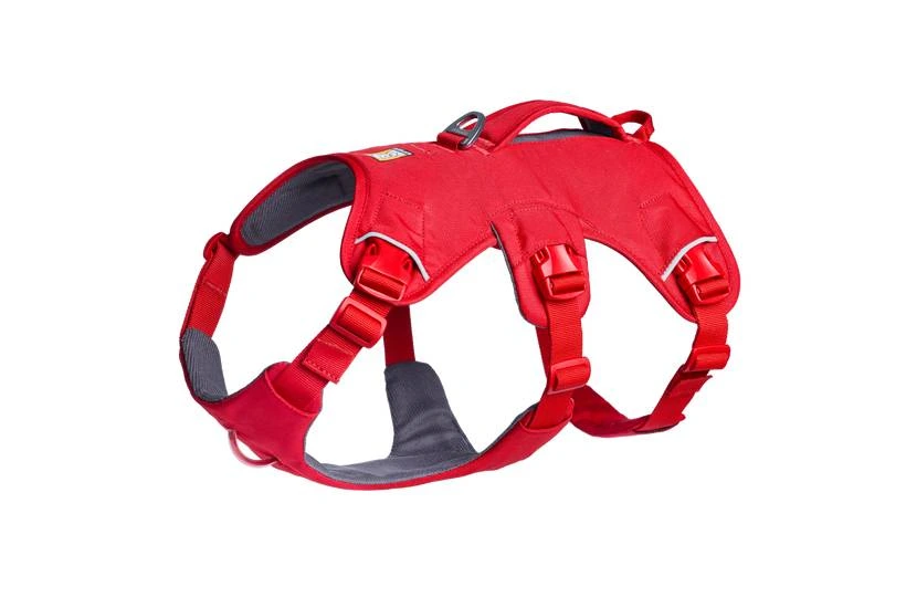 Підтримуюча шлейка для службових собак Ruffwear Web Master™ XS 43-56 см Яскраво-червоний