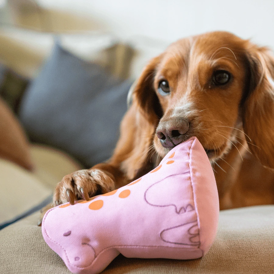 М'яка іграшка для собак Beco Pets Малюк Динозавр Рожевий S