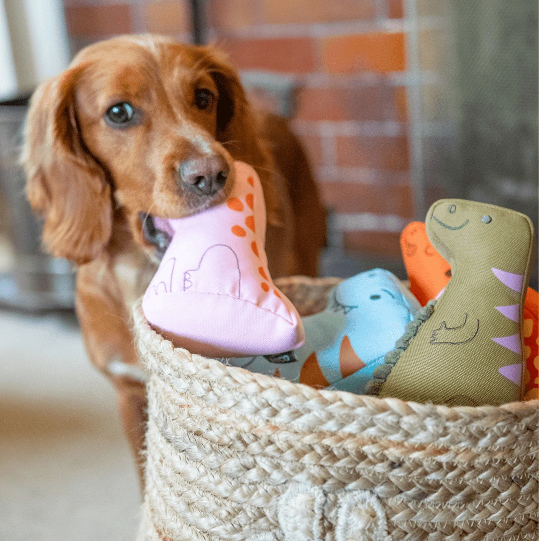 М'яка іграшка для собак Beco Pets Ігуанодон Зелений M
