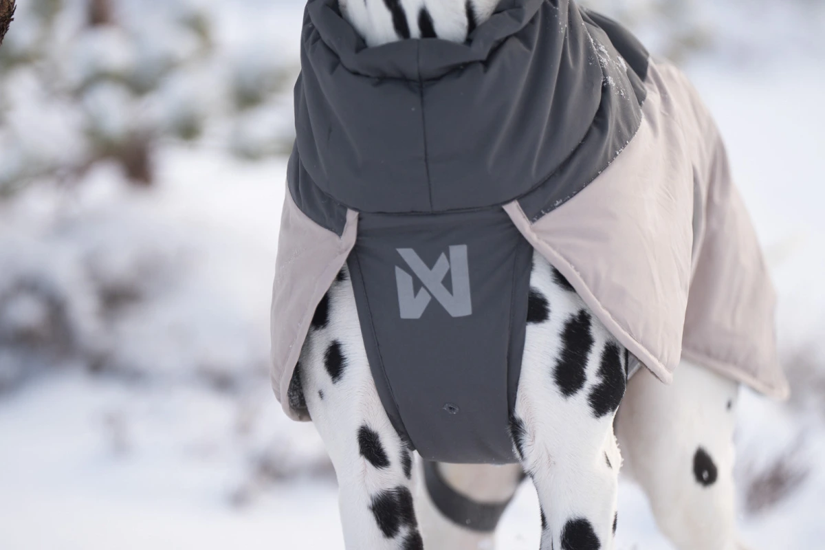 Зимова куртка для собак Glacier wool jacket 3.0 Non-stop dogwear Сірий 40