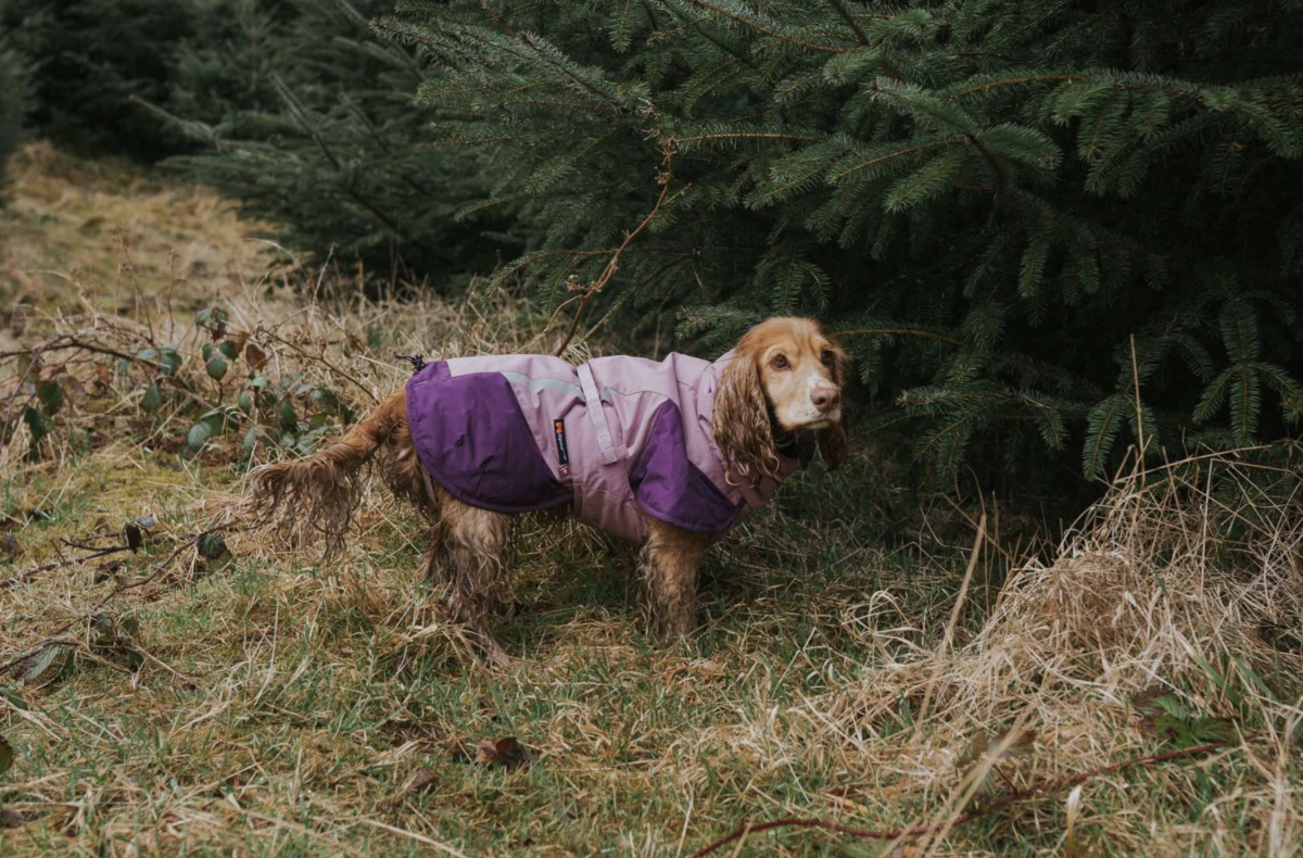 Теплая зимняя куртка для собак Glacier jacket 3.0 Non-stop dogwear Фиолетовый 50