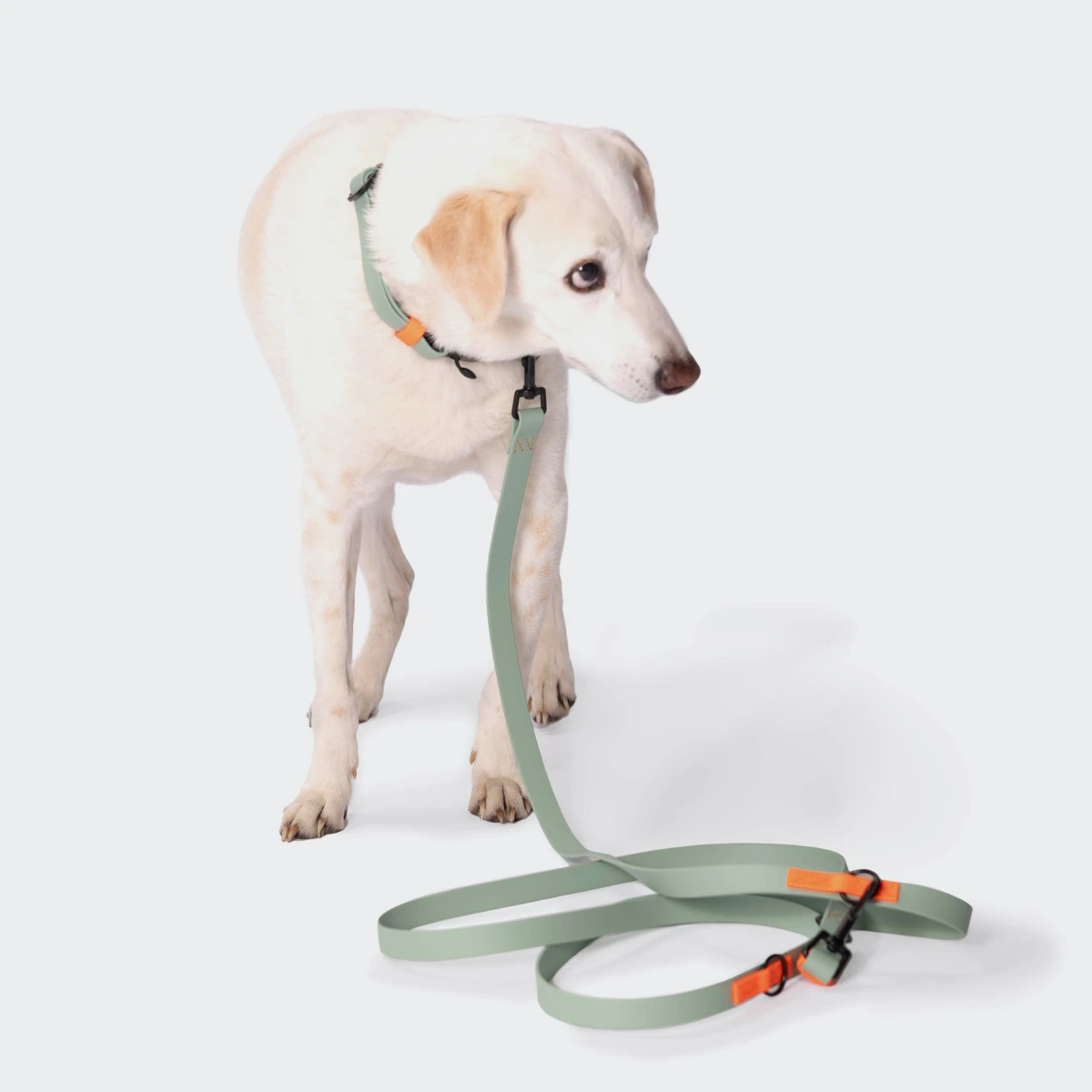 Біотановий повідець вільні руки для собак Cloud7 Hands-Free-Leash Ipanema М'ятний 1,6 - 2,6 м One Size