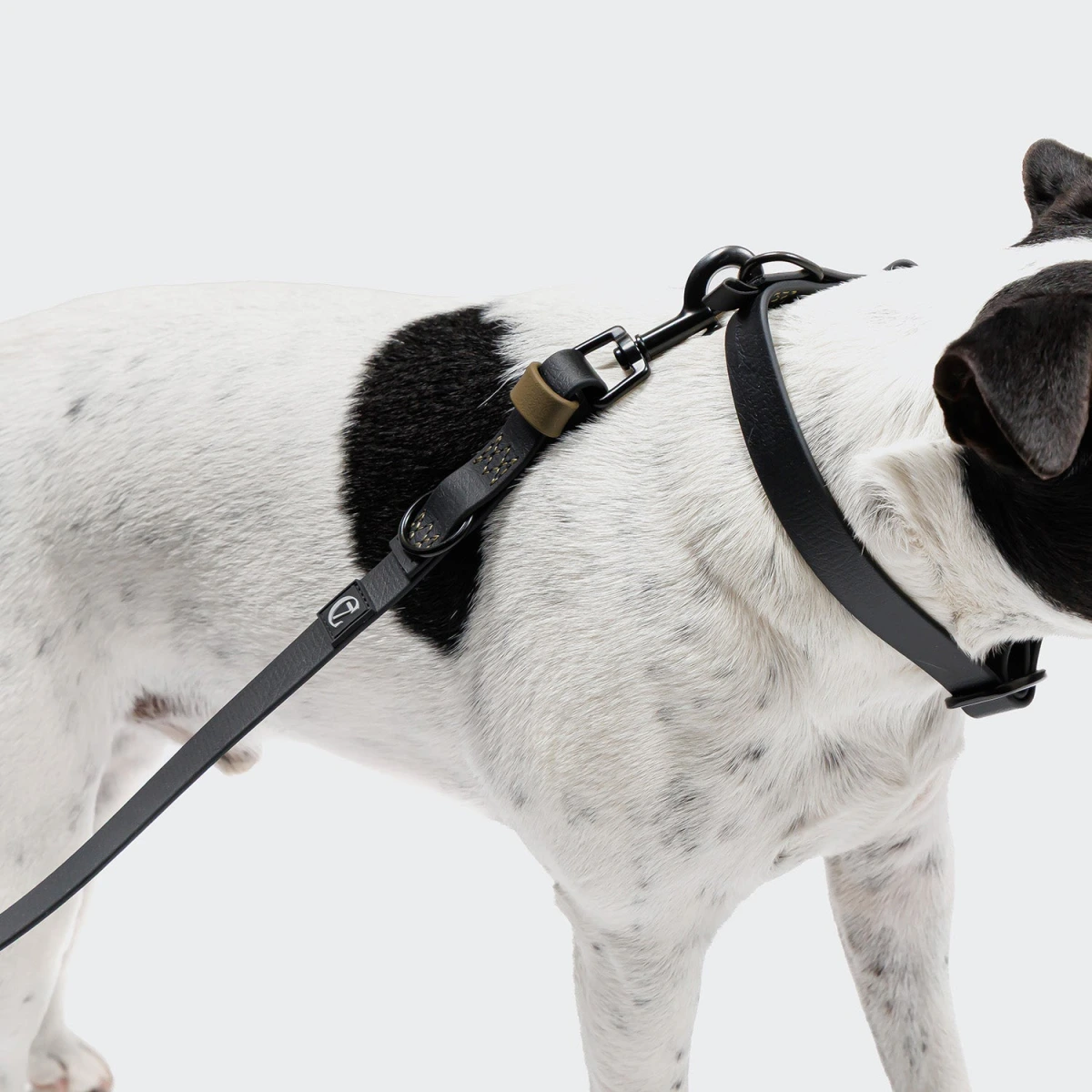 Біотановий повідець вільні руки для собак Cloud7 Hands-Free-Leash Ipanema Чорний 1,6 - 2,6 м One Size