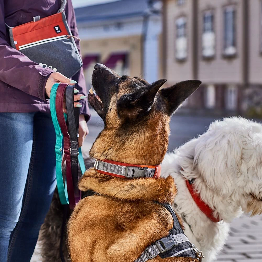 Нашийник для середніх і великих собак Hurtta Rover 40-50 Помаранчевий
